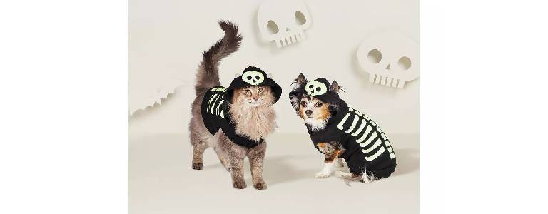 Dog and cat skeleton costume