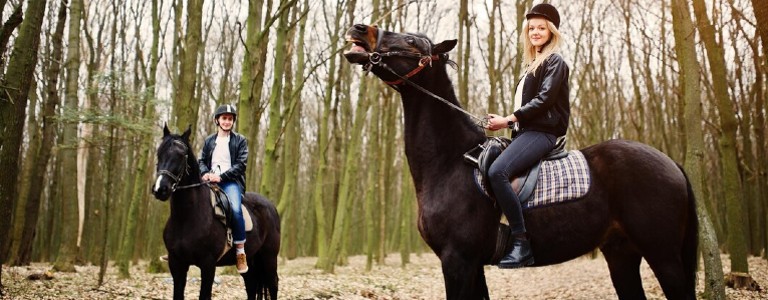 A couple riding horseback in middle of woods.