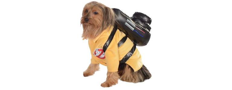 Dog wearing Ghostbusters jumpsuit