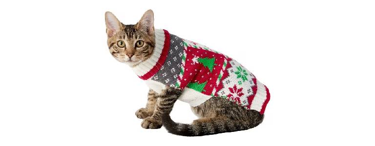Holiday sweater for cats and dogs.