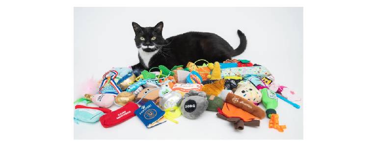 Meowbox gift package for cats.