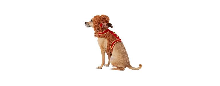 Reindeer costume dog harness.
