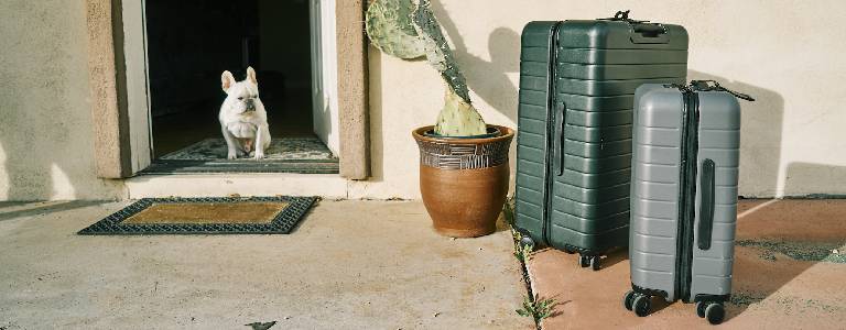 Two hard-shell suitcases sitting outside the front door, with dog standing on the threshold.