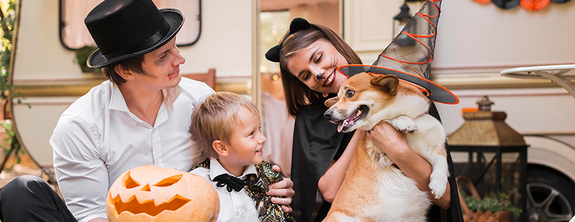 Get Your Pet Ready for Halloween With These Fur-Raising Finds