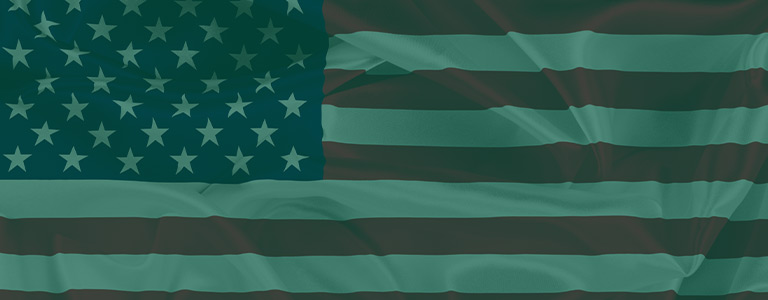 Fourth of July Survey 2020