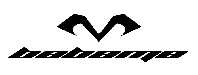 Babama Jewelry Logo