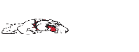 Bully Dog Logo