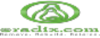 Oradix Inc. Logo