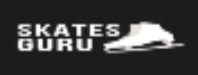 SKATE GURU INC Logo