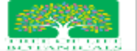 Tree of Life Botanicals Logo