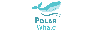 polar whale