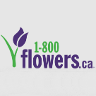 1-800 Flowers Canada Logo