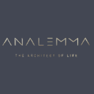 Analemma Water Logo