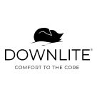 DOWNLITE logo