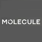 Molecule Logo