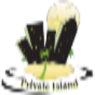 Private Island Party logo