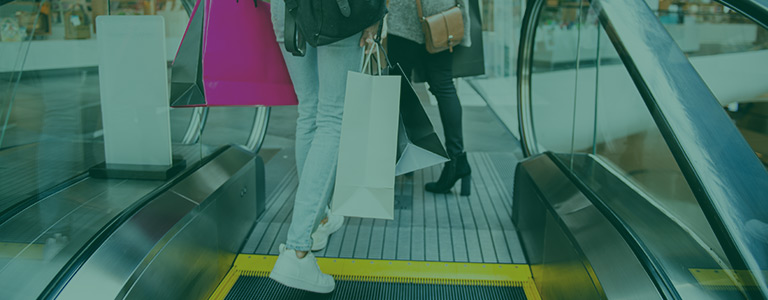 Holiday Shopping Survey